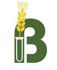 Borlaug small logo.jpeg